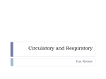 Circulatory and Respiratory Review