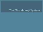 The Circulatory System