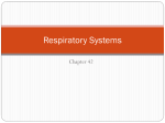 Gas Exchange