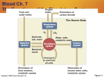 Blood Ch. 7 The Functions of the Circulatory System