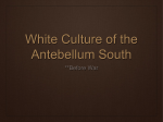 White Culture of the Antebellum South