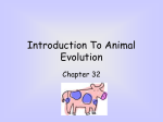 INTRODUCTION TO ANIMAL EVOLUTION