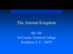 The Animal Kingdom - Tri-County Technical College