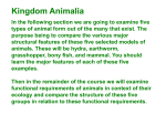 1. Phylum Cnidaria: Cnidarians have radial symmetry, a