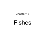 Chapter 18