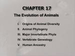 What Is an Animal?