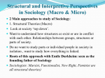 Structural and Interpretive Perspectives in Sociology