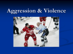 Aggression & Violence