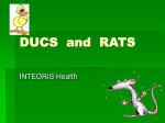 DUCS and RATS for NLO Print 8th