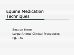 Medication Techniques2a