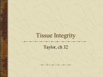 Tissue Integrity