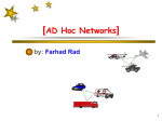 Routing in Ad Hoc Networks