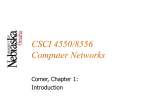 CSCI 4550/8556 Computer Networks