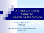 A Hybrid QoS Routing Strategy for Suburban Ad