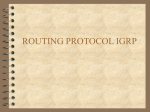 ROUTING PROTOCOL IGRP