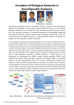 Emulation of Biological Networks in  Reconfigurable Hardware   