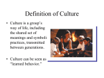 Definition of Culture