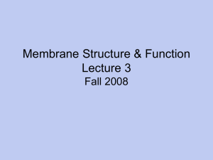 L3 Membrane Structure Function Fa08