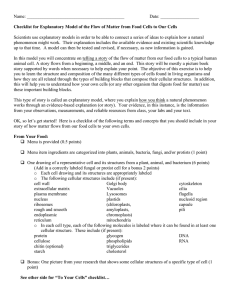 Flow of Matter Model Checklist