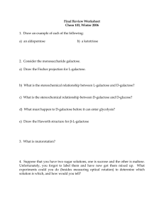 103 final review worksheet