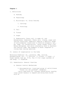 Background Terminology Chemistry- word document