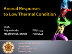 Fuel Metabolism