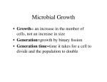 L3_bacterial growth