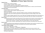 6c Important Tissue Concepts