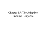 L13 AdaptiveImmune 7e