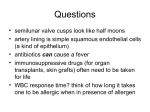 Respiratory System