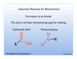 Biopolymers