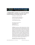 A minimal DNA cassette as a vector for genetic transformation of