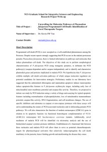 Unravelling the molecular pathways of Plasmodium falciparum programmed cell death: identification of novel therapeutic targets.