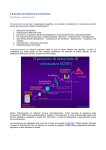 Il processo di estrazione di conoscenza