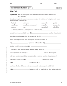 The Cell Key Concept Builder