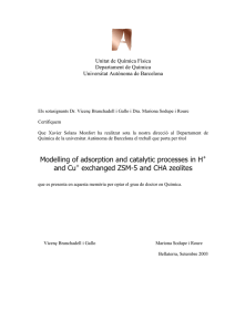 Unitat de Química Física Departament de Química Universitat Autònoma de Barcelona