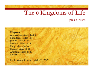 The 6 Kingdoms of Life plus Viruses