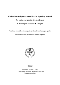 Mechanisms and genes controlling the signalling network Arabidopsis thaliana