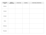 FUNCTIONAL NAME OF STRUCTURE EXAMPLE