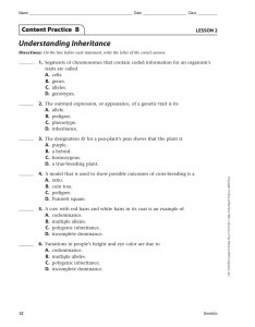 Understanding Inheritance Content Practice  B LESSON 2