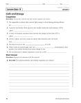 Cells and Energy Lesson Quiz  B Completion LESSON 4