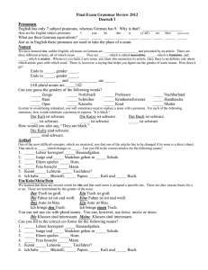 Final Exam Grammar Review 2012 Deutsch I Pronomen