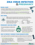 &amp; ZIKA VIRUS INFECTION PREGNANCY TRAVEL ALERT