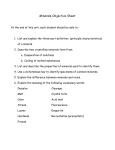 Minerals Objective Sheet