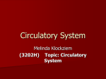 Circulatory System Melinda Klockziem (3202H) Topic: Circulatory System