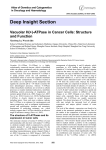 Deep Insight Section Vacuolar H(+)-ATPase in Cancer Cells: Structure and Function