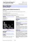 Gene Section CDX2 (caudal-related homeobox 2) Atlas of Genetics and Cytogenetics