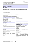 Gene Section MNX1 (motor neuron and pancreas homeobox 1)