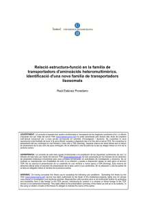 Relació estructura-funció en la família de transportadors d'aminoàcids heteromultimèrics.