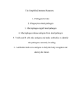 The Simplified Immune Response  1.  Pathogens Invade